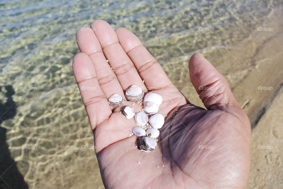 collecting seashells