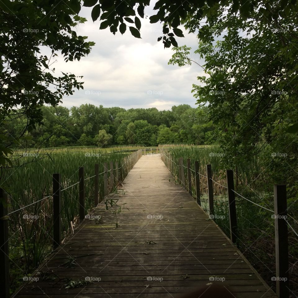 Bridge over water