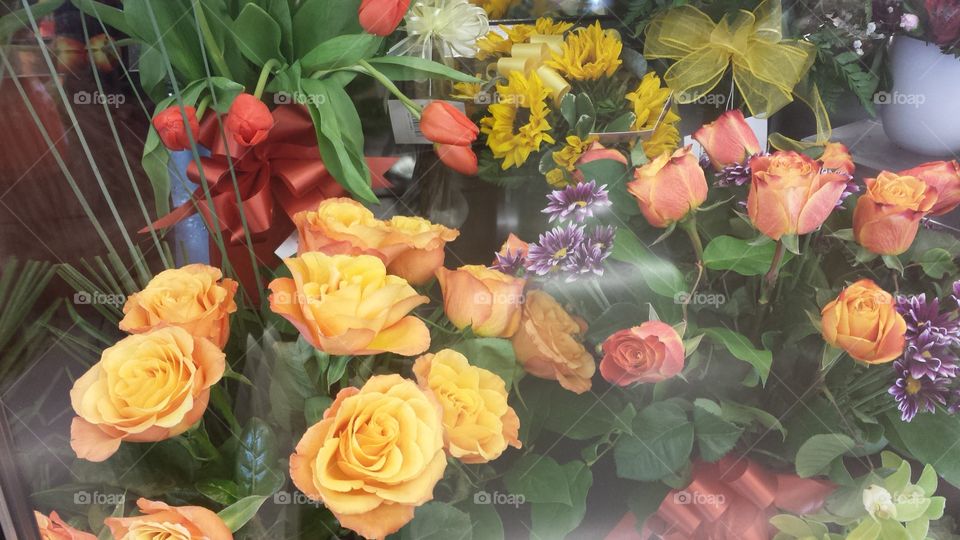 Rose, Flower, Bouquet, Love, Romance