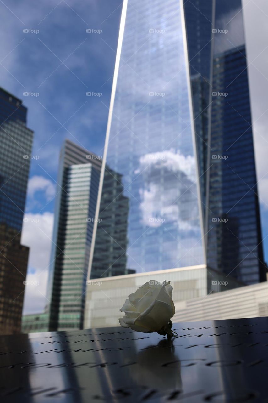 Close up of a flower in the 9/11 memorial