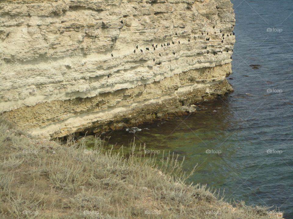 Water, No Person, Seashore, Sea, Nature