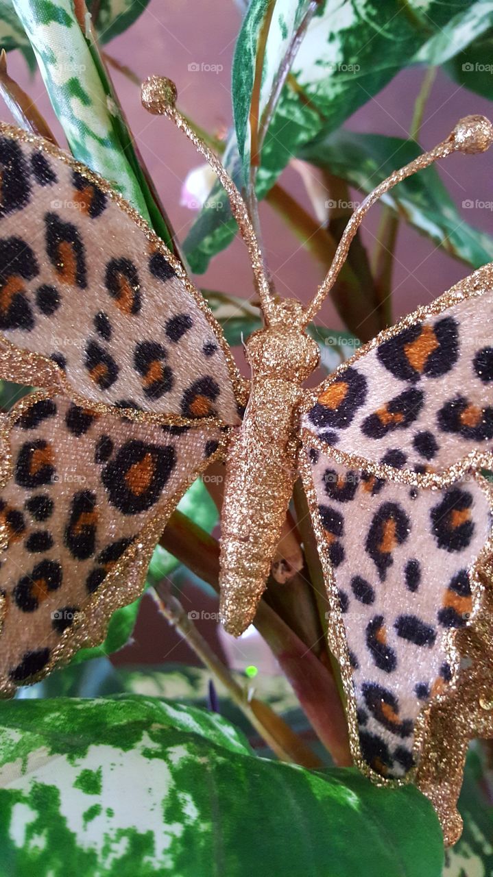 Beautiful macro shots