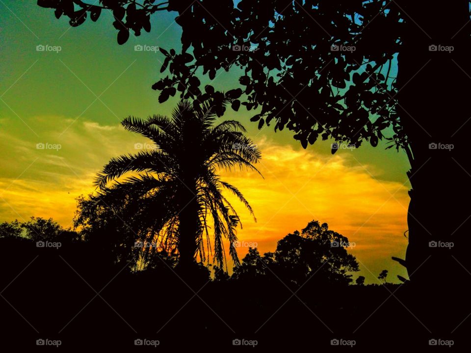 Night Shed Picture Click