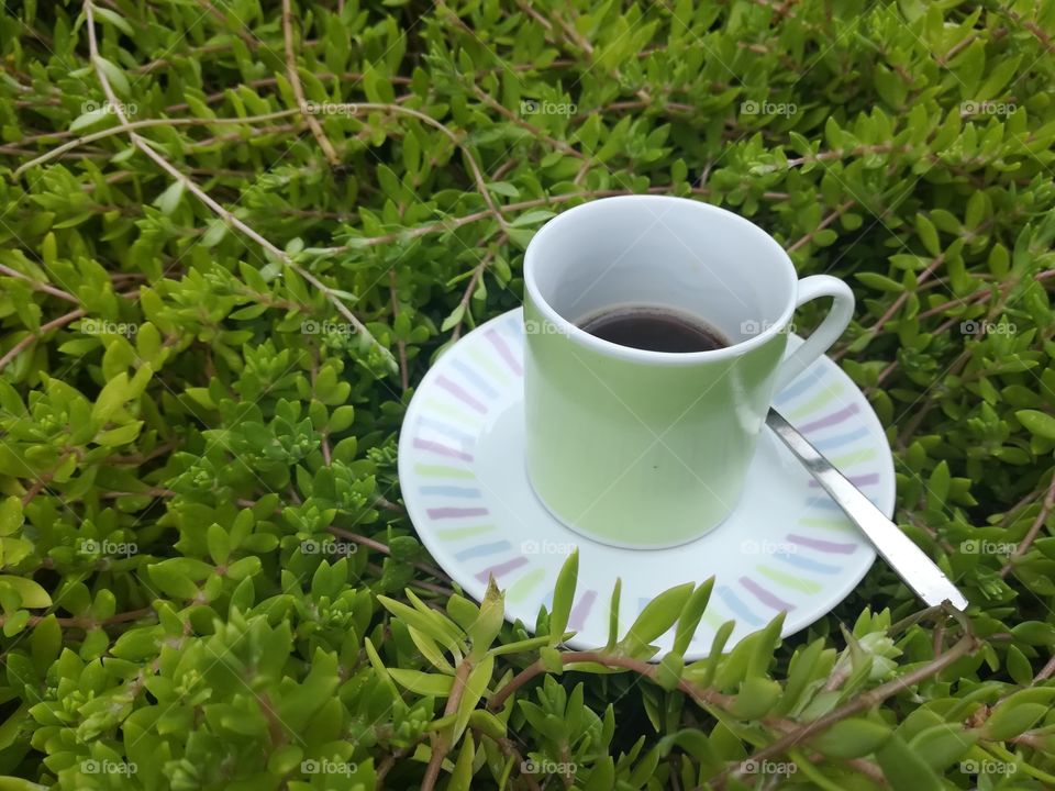 Coffee cup, coffee mug, plants