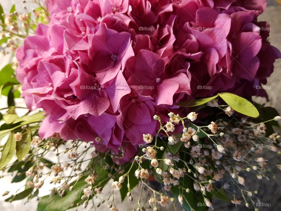 Bouquet of flowers