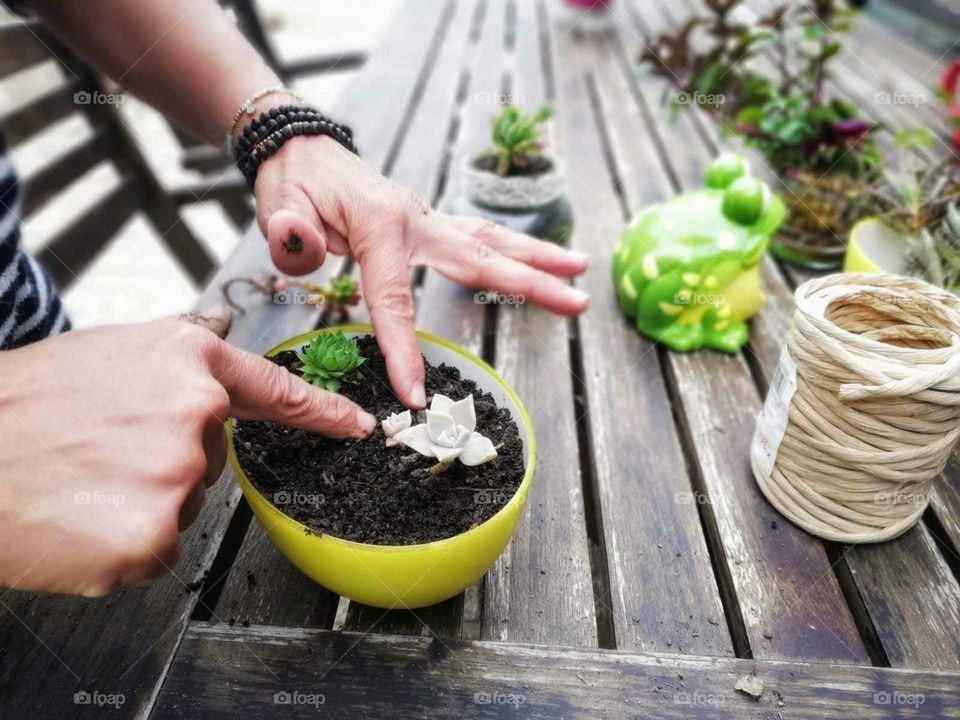 Routine and habits of daily life