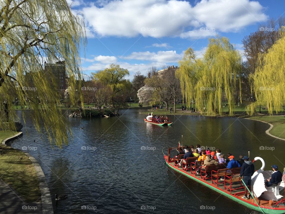 Boating in Boston. A beautiful view in one of many Boston parks