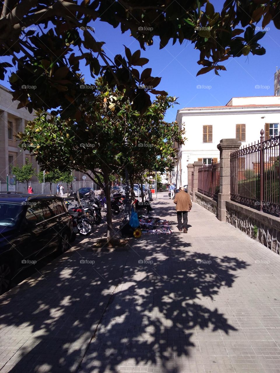 Battle: Countryside vs City