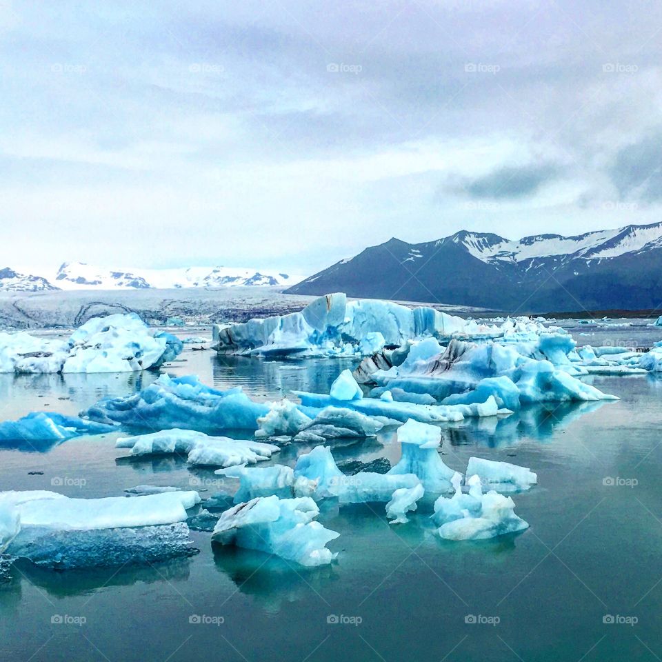 Icebergs afloat the lake