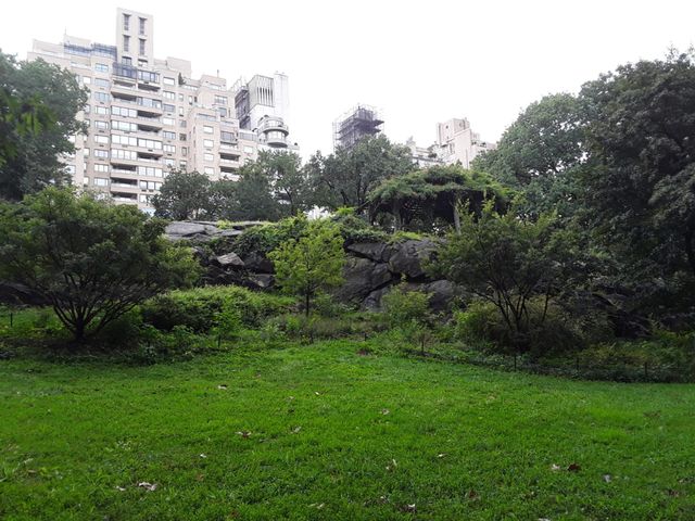 Central Park