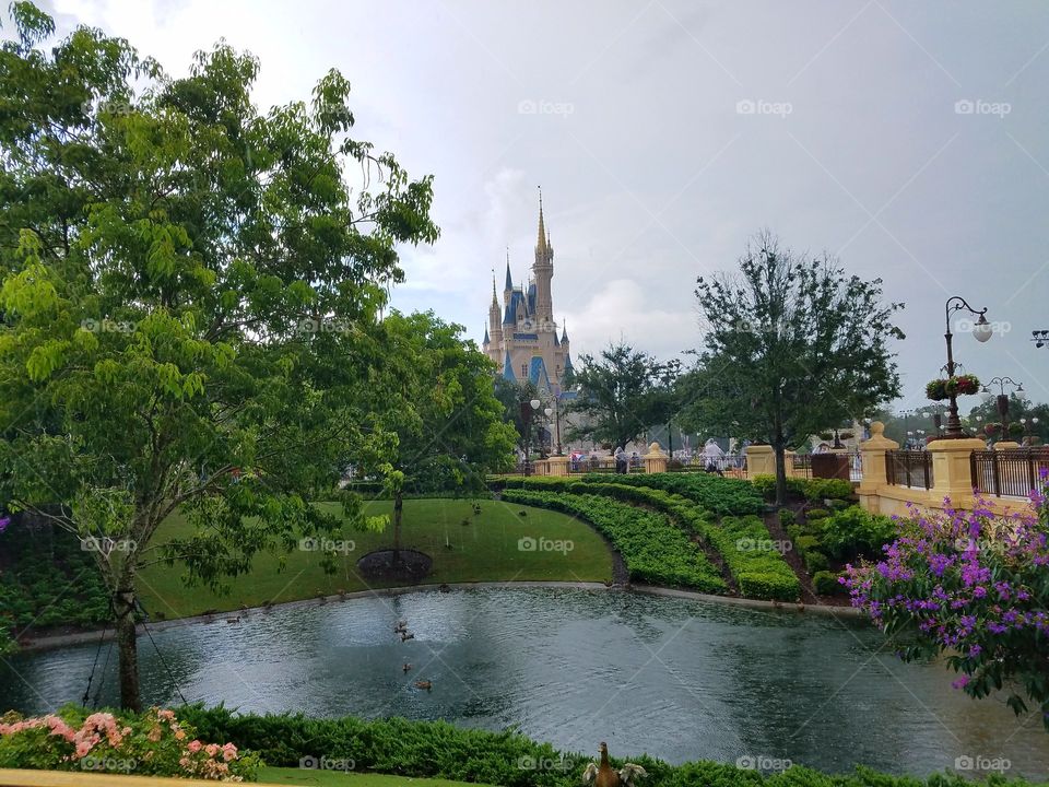 Disney Landscape