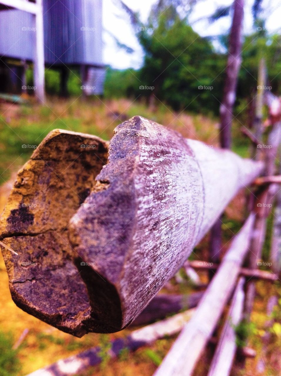 A bamboo fence in a village