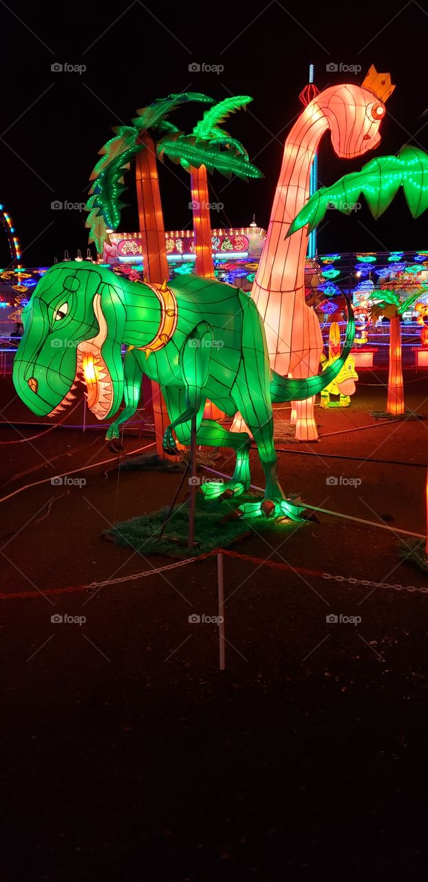 dragon of lights