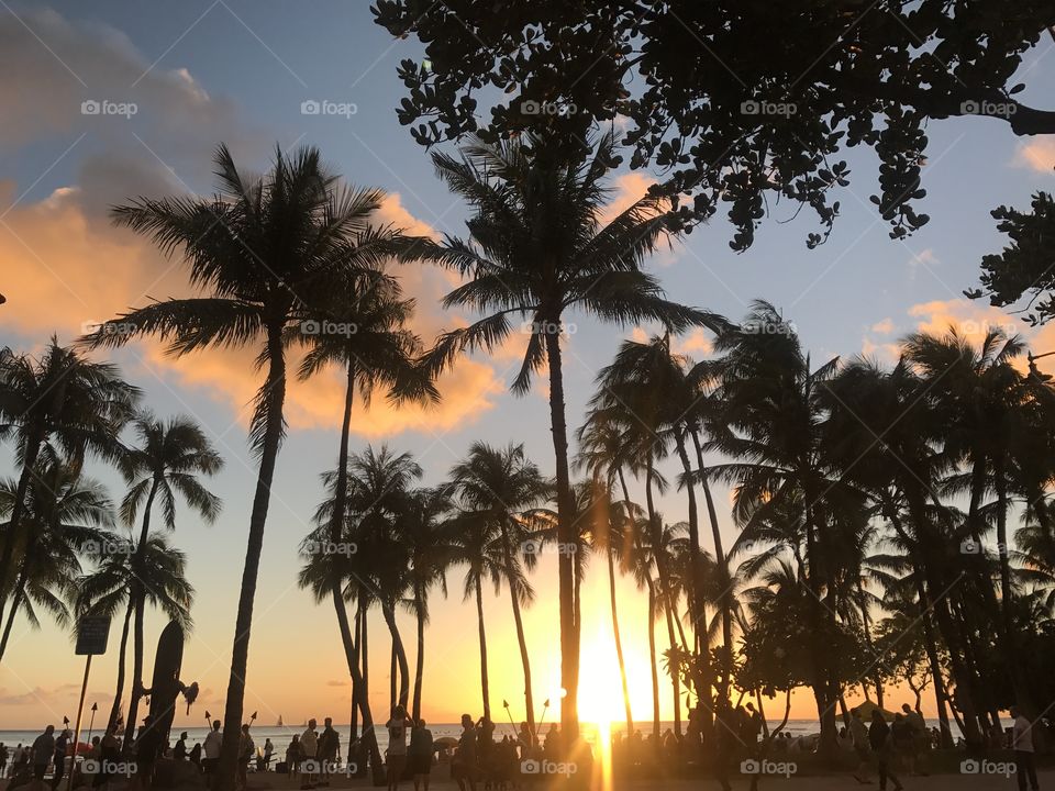 Sunset Waikiki 