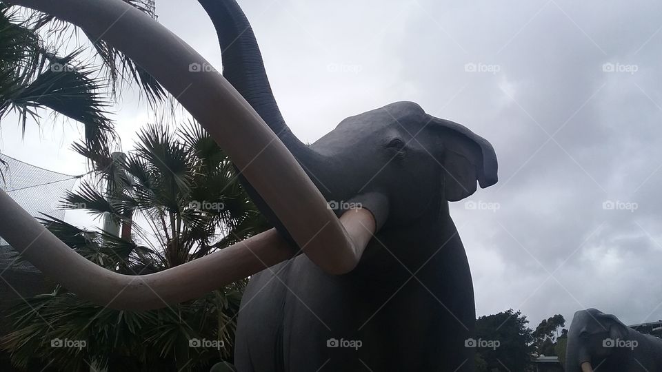 Elephant Statue