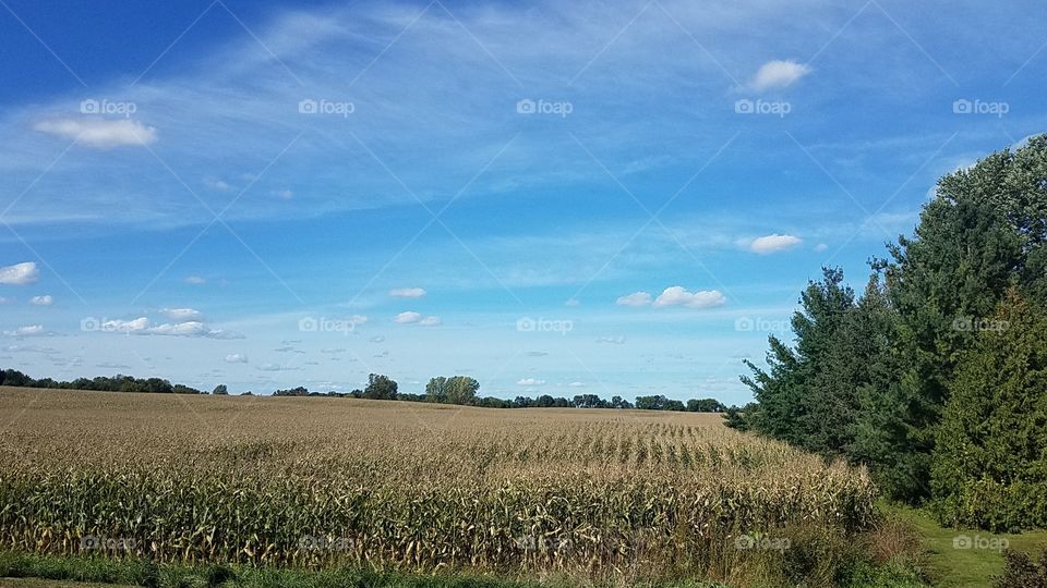 Fall fields