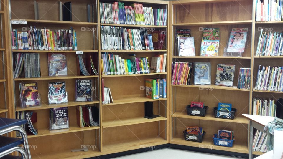 Bookcase, Shelf, Library, Bookstore, Education