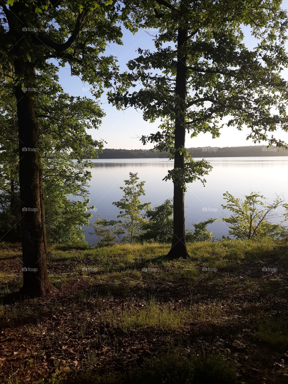 Looking over the lake