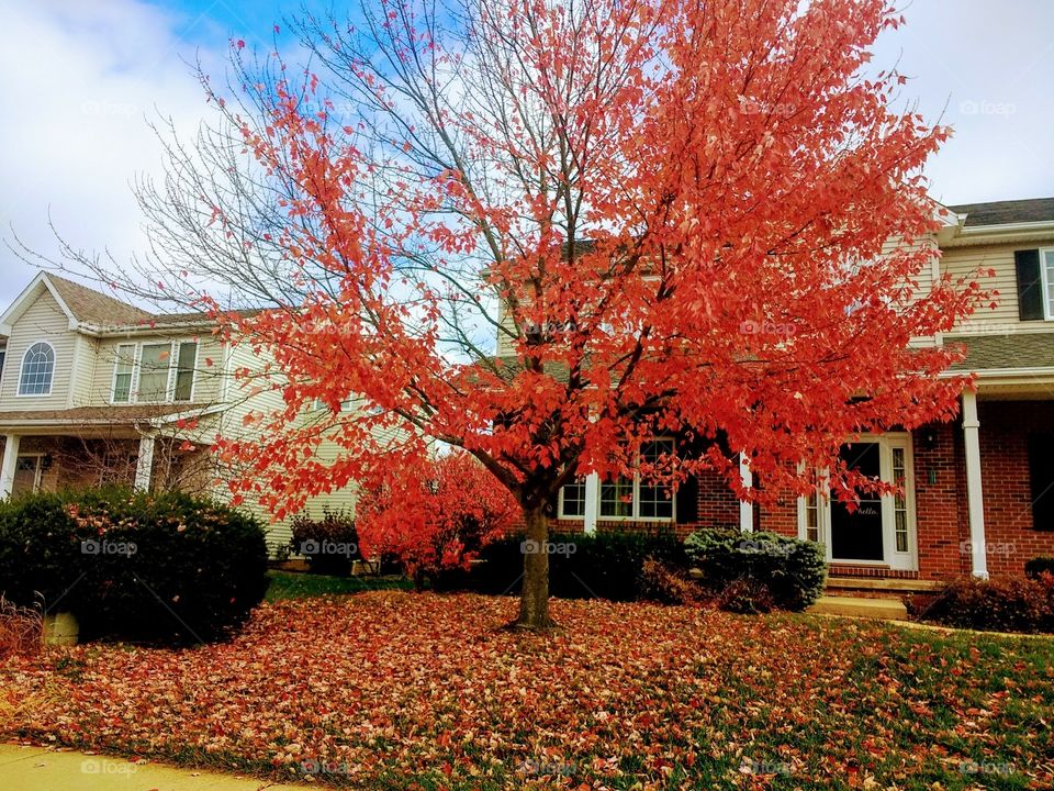 Though Urban life is fast , if places are beautiful and quiet , it's the best ! Nature is at its best ❤️❤️❤️