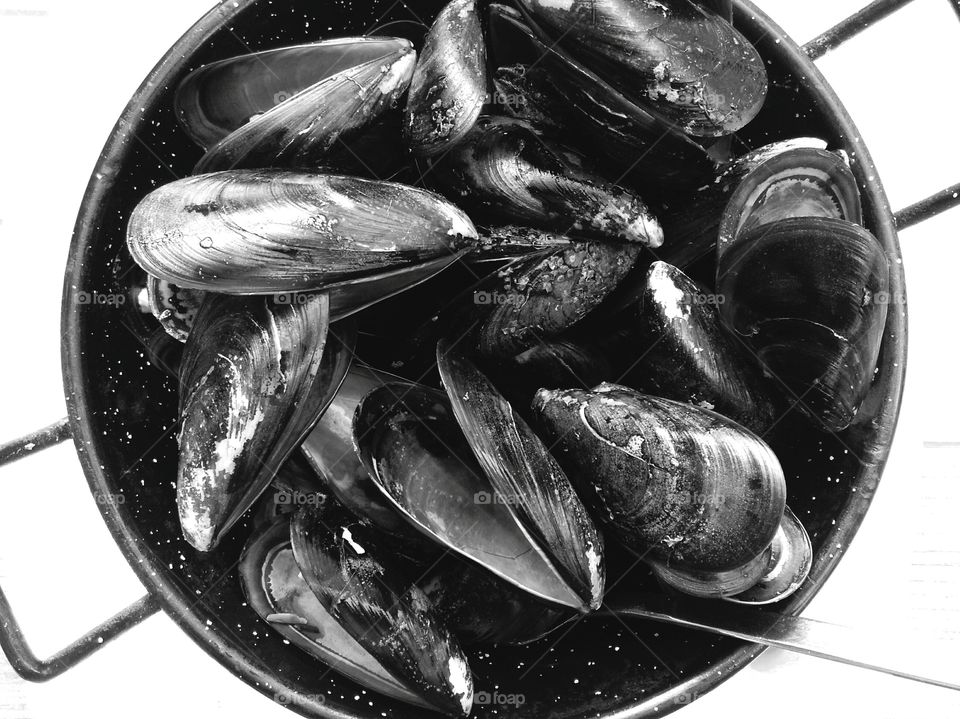 Mejillones blanco y negro
