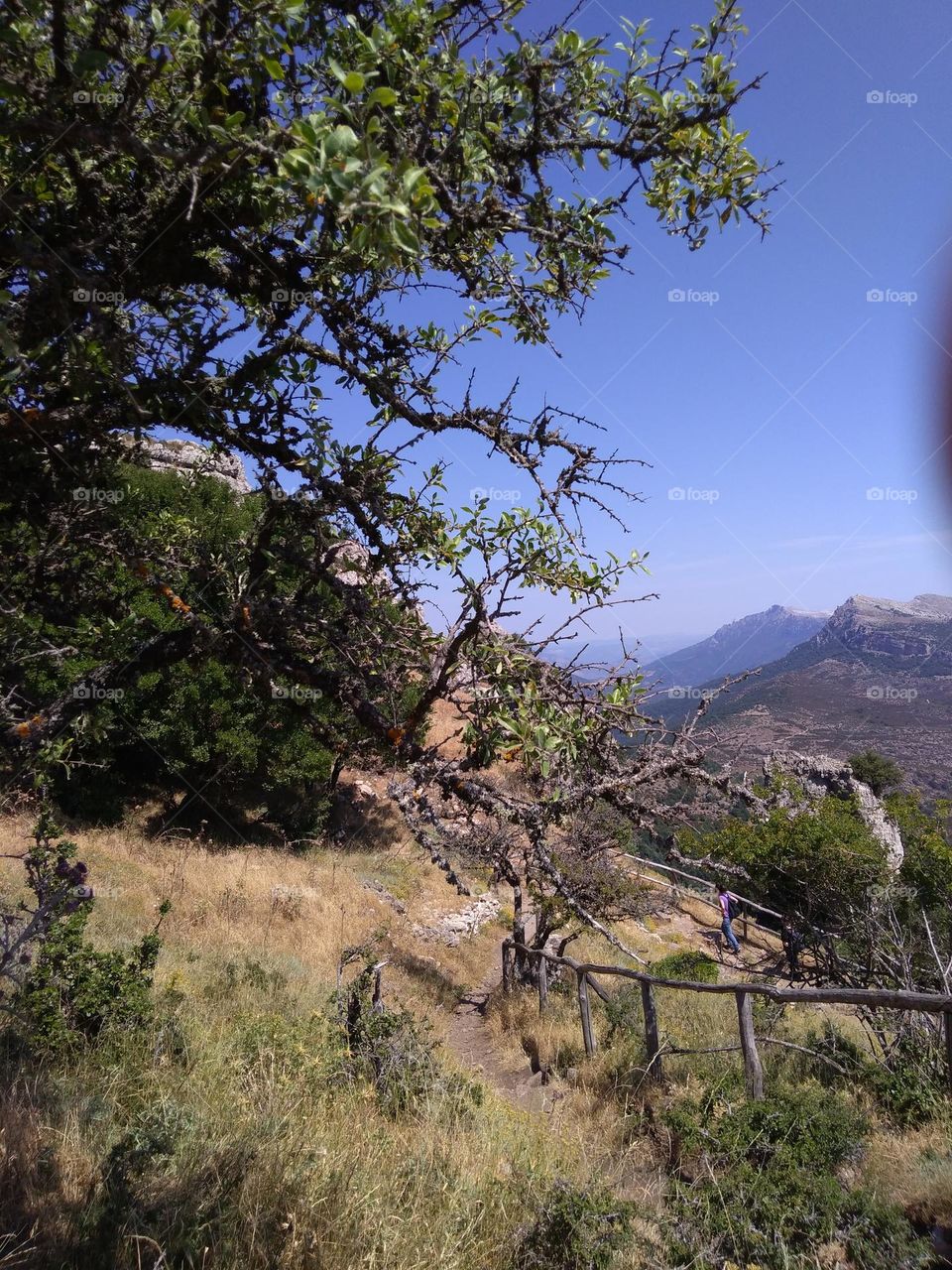 Editors' Choice: Photo of the Week