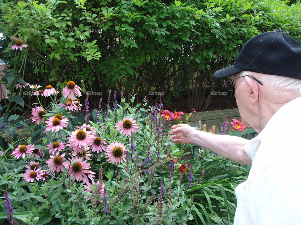 Grandfather appreciating all these cone flowers. He was loving seeing how beautiful they were, also the lilies.