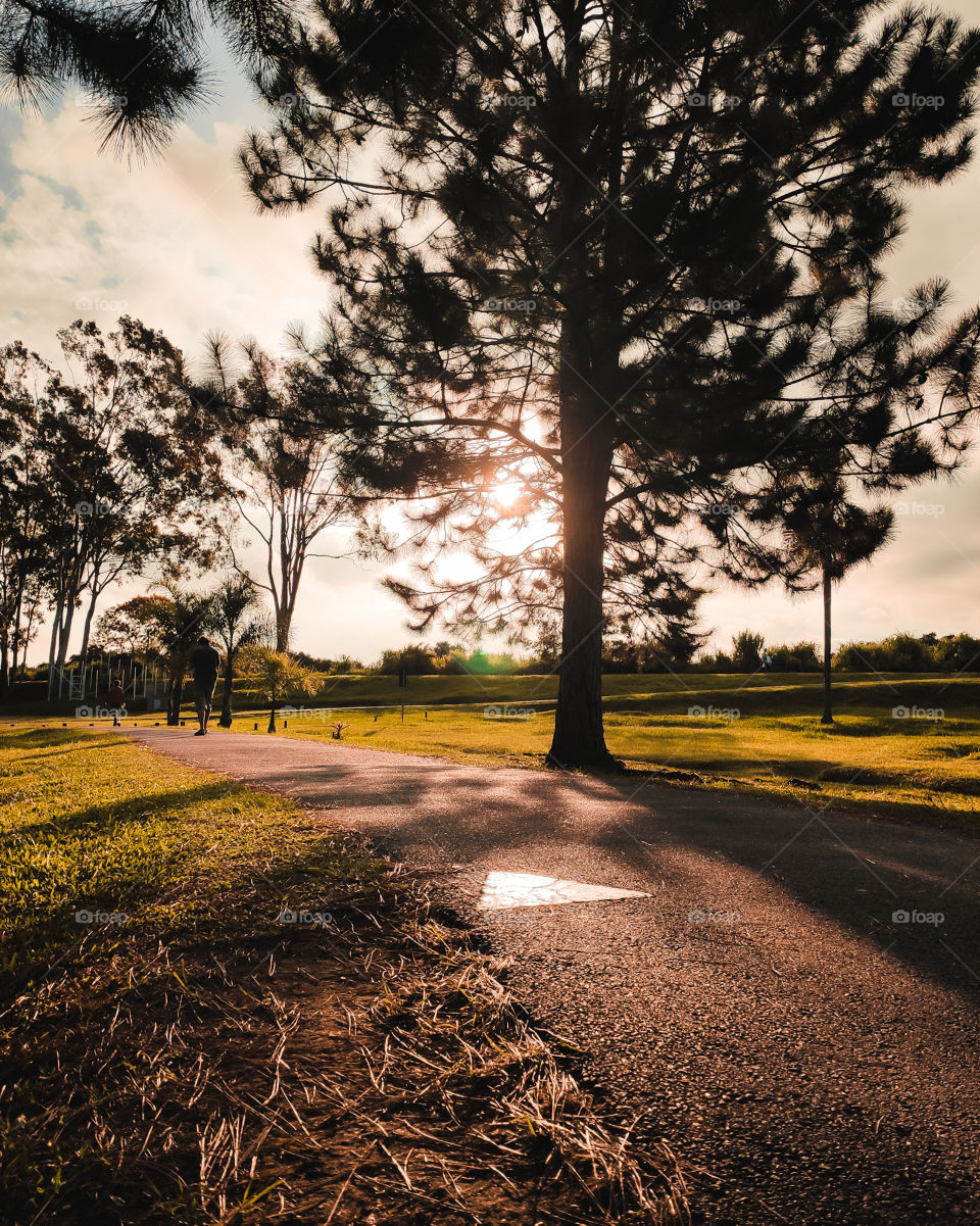 A day at the park