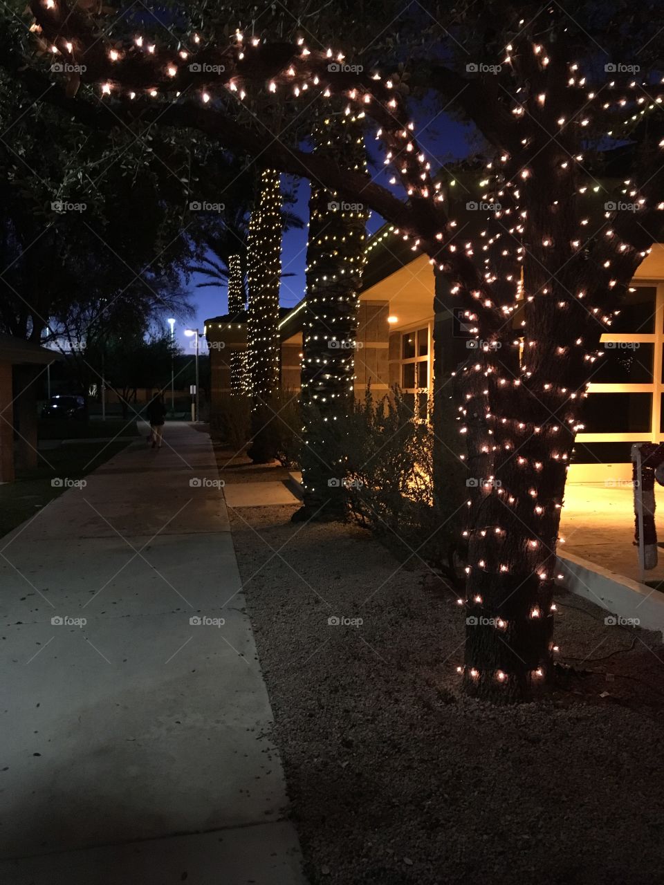 Mini lights on tree