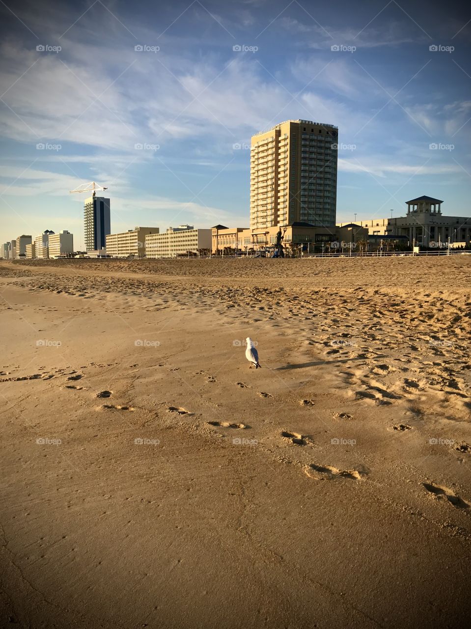 Buildings in the sand