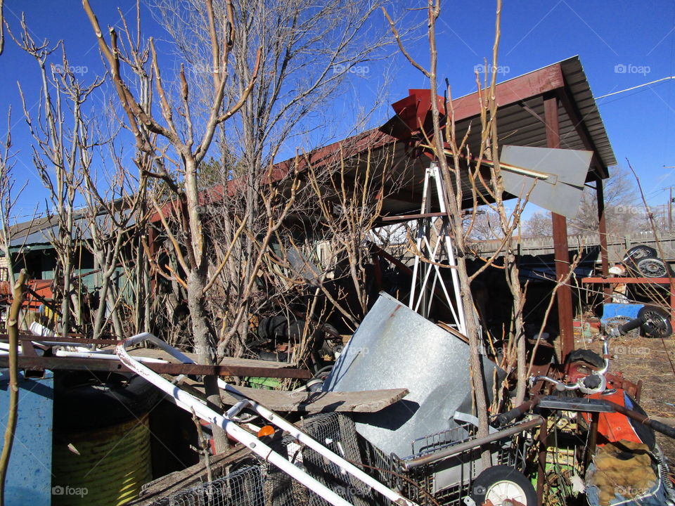 Backyard junk 