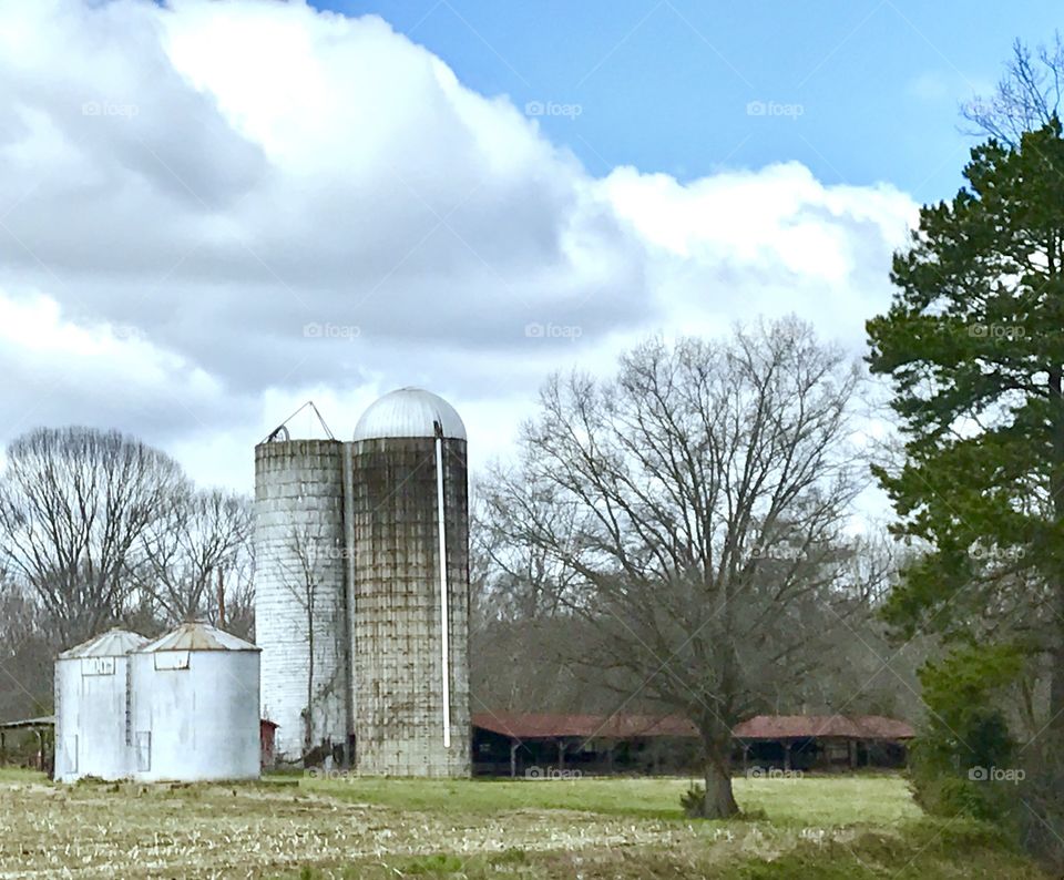 Silos and Stalls