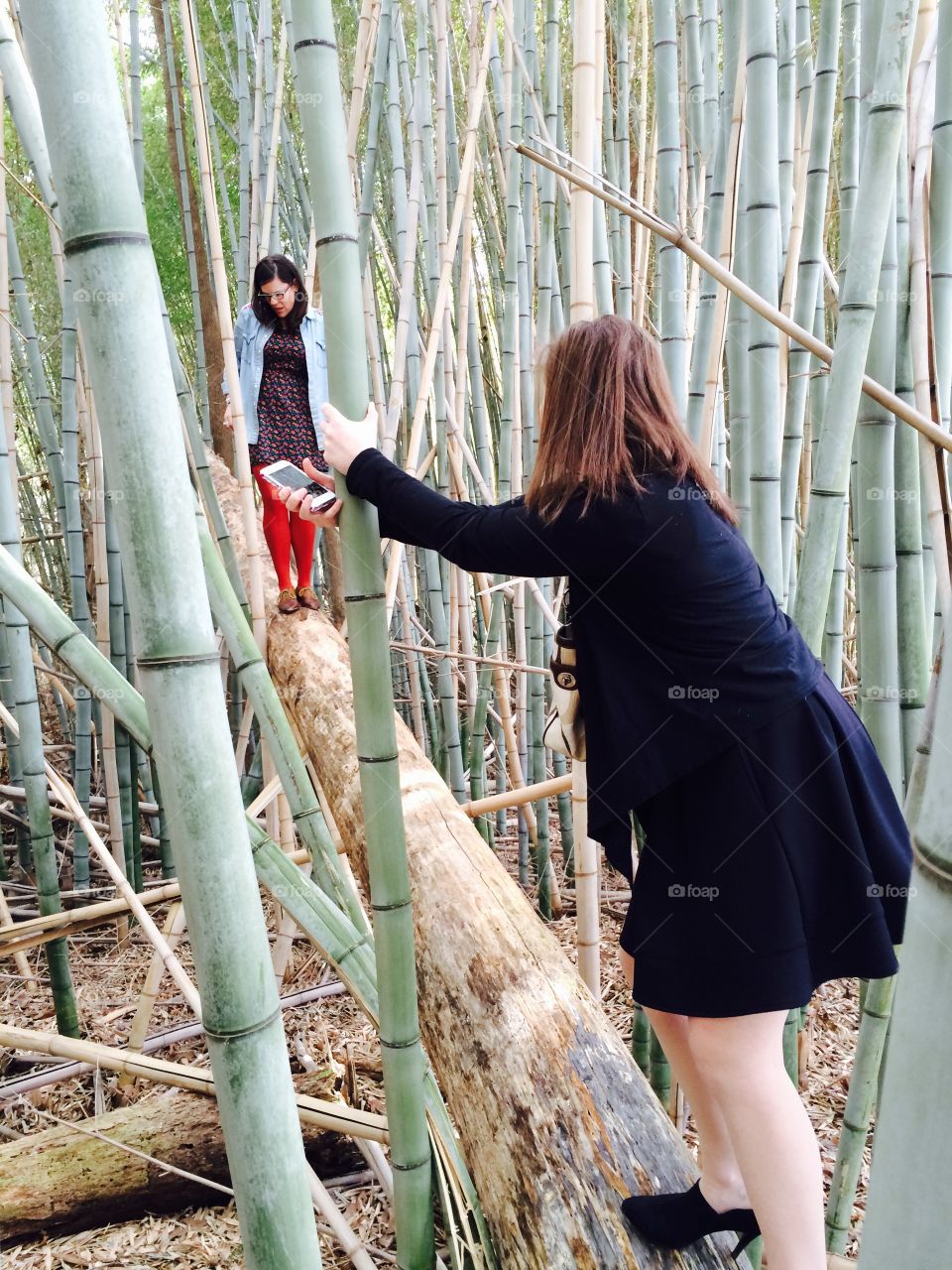 Woman, Outdoors, Nature, People, Wood