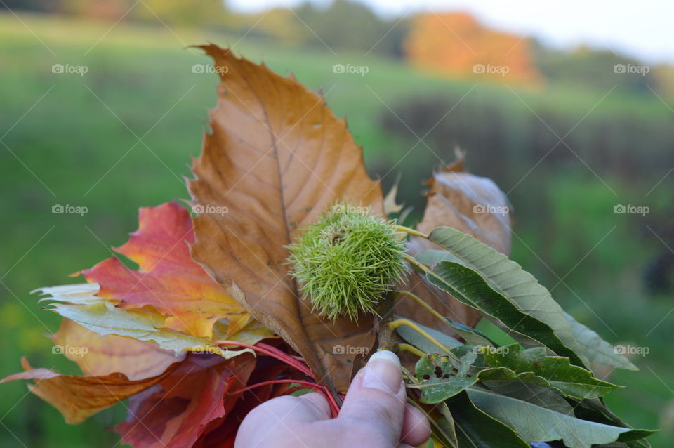 Autumn is here