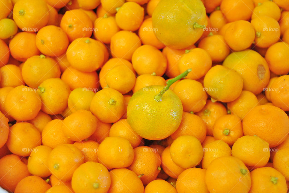 golden yellow lime