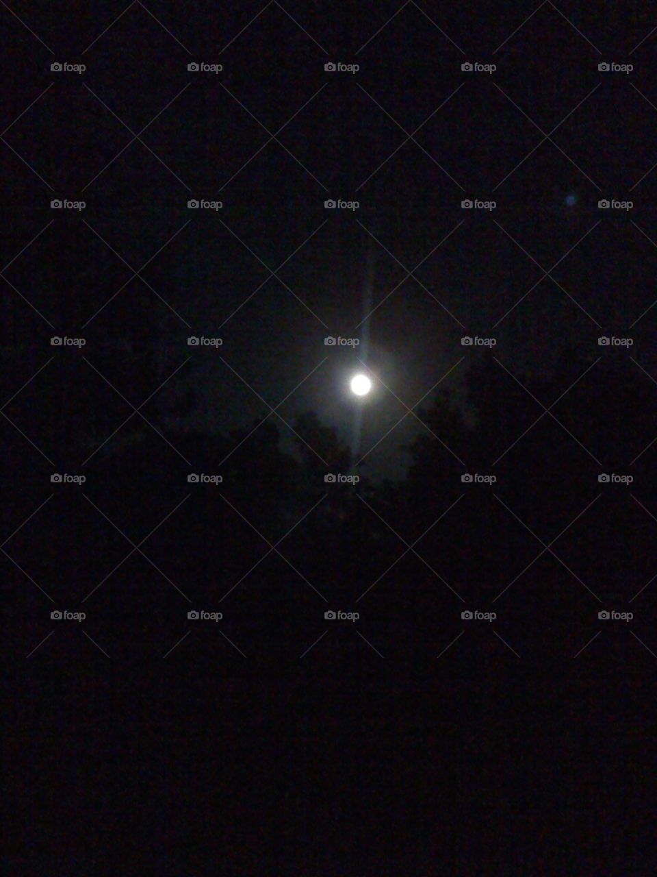 The moon out my front door.