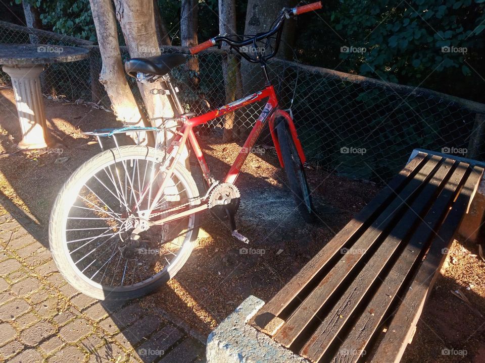 A red bicycle left by a tree near a river in the city