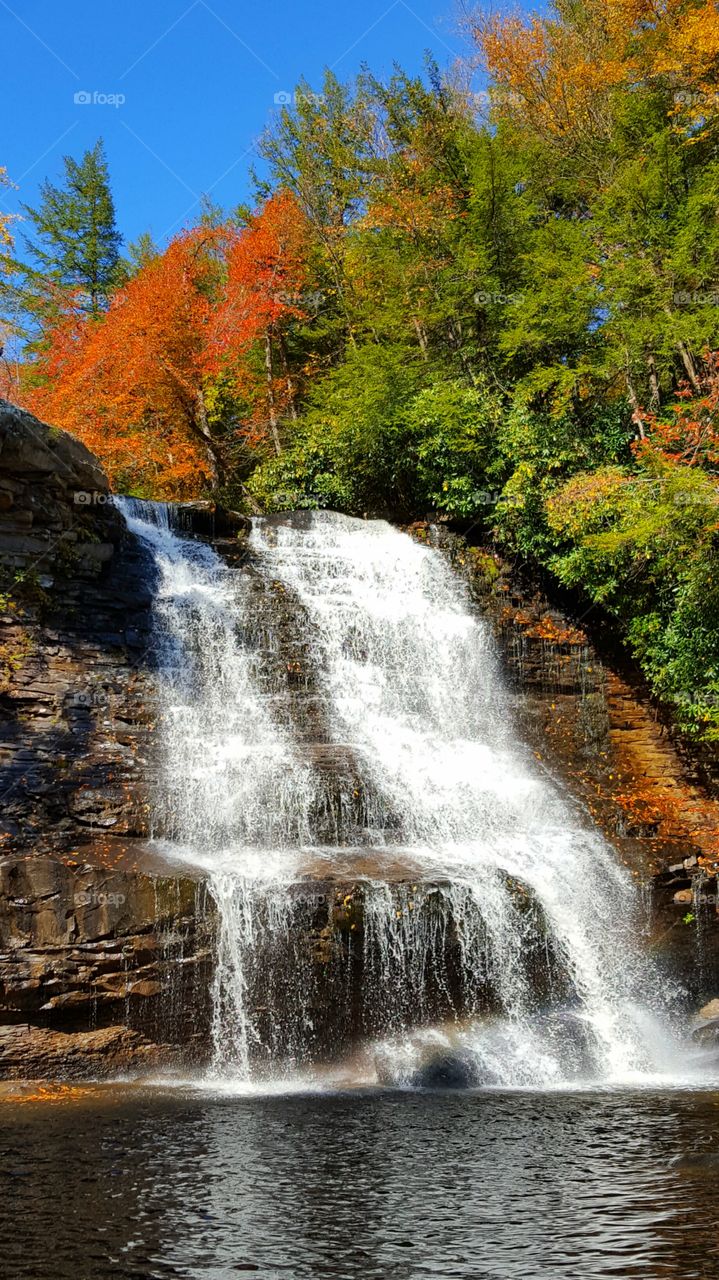 Waterfall in forest