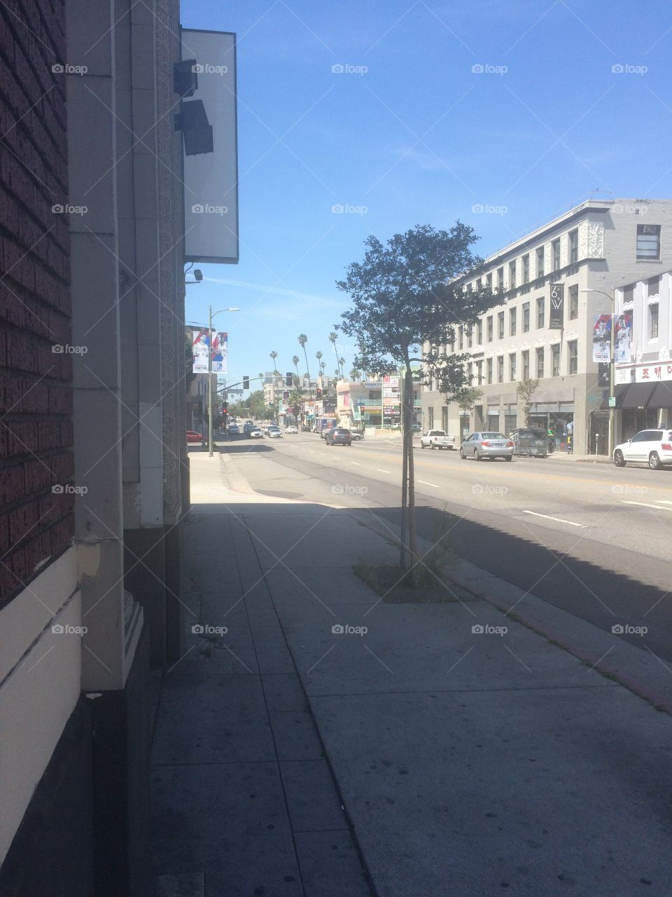 Los Angeles Street View

