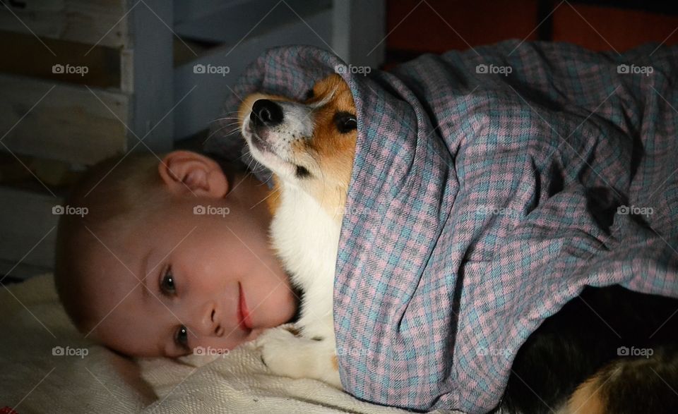 Friends. Dog and a puppy