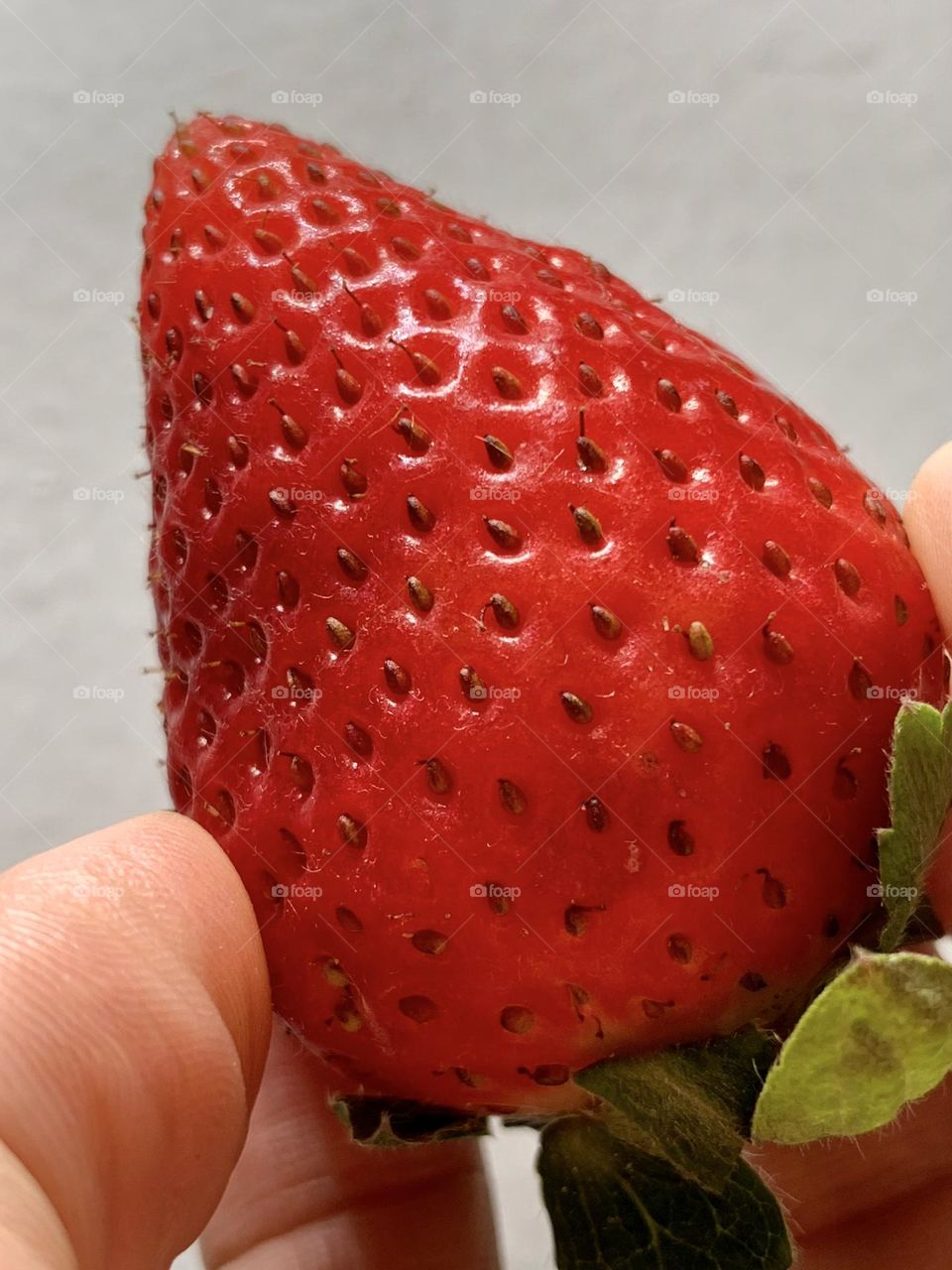 Person holding close up photo of strawberry against white background. 