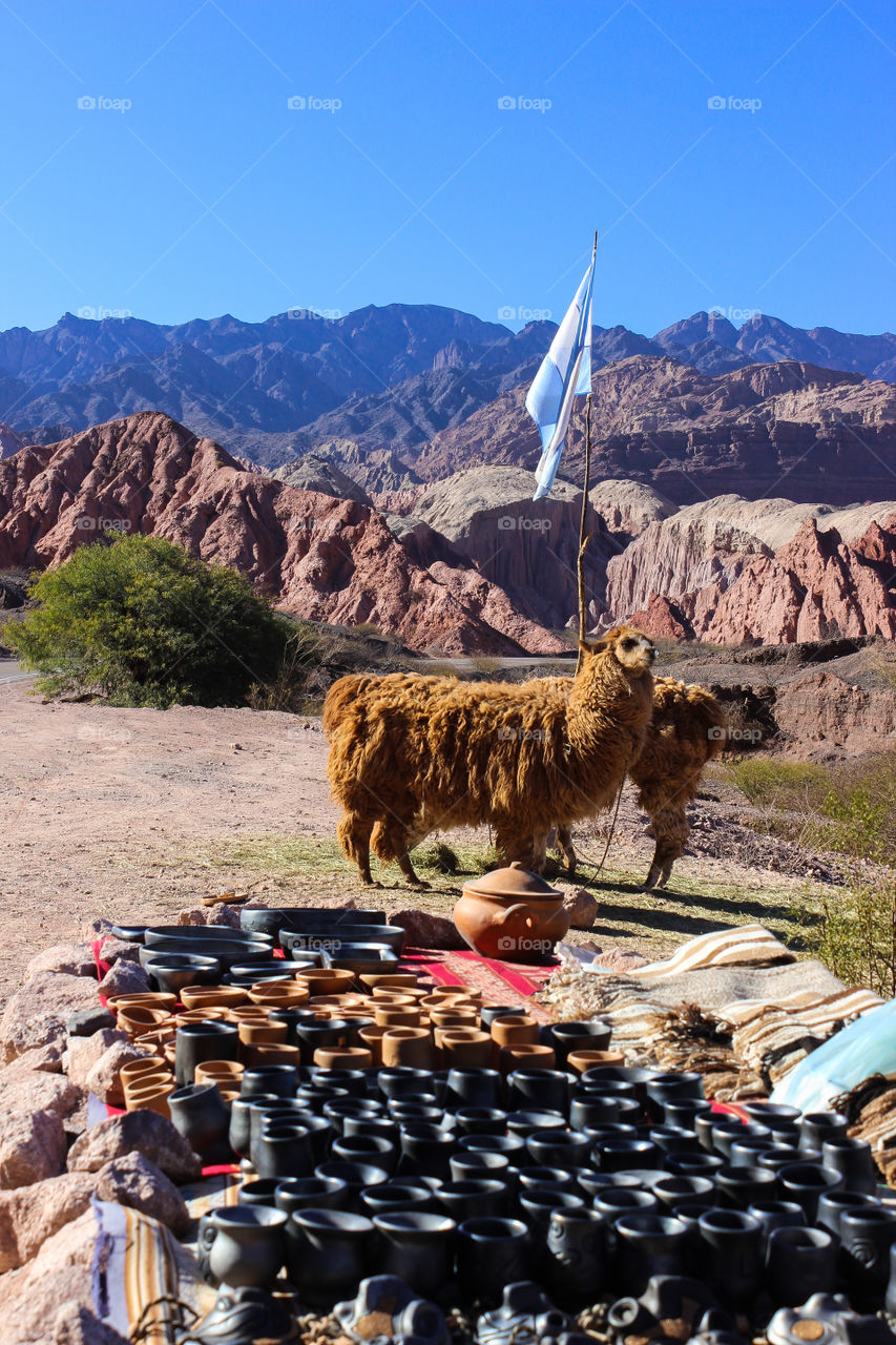 argentina flag in The Andes