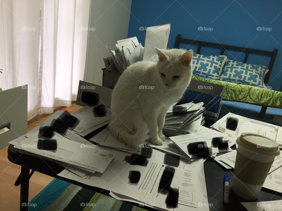 Paperwork Helper 