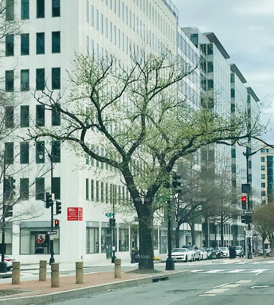 Rolling through the city