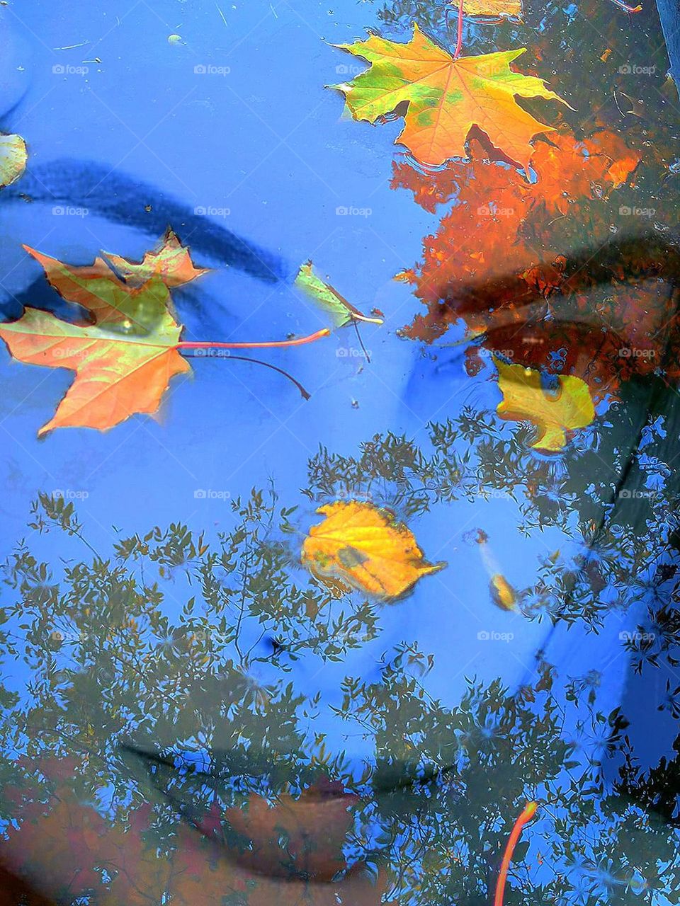 Autumn.  Multi-colored autumn leaves on wet pavement.  A woman's face is visible on the autumn leaves