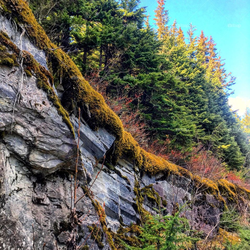 A view along the road near Girdwood, Alaska