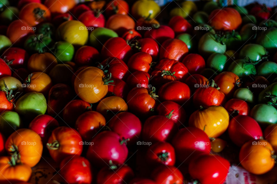 Red tasty tomatoes
