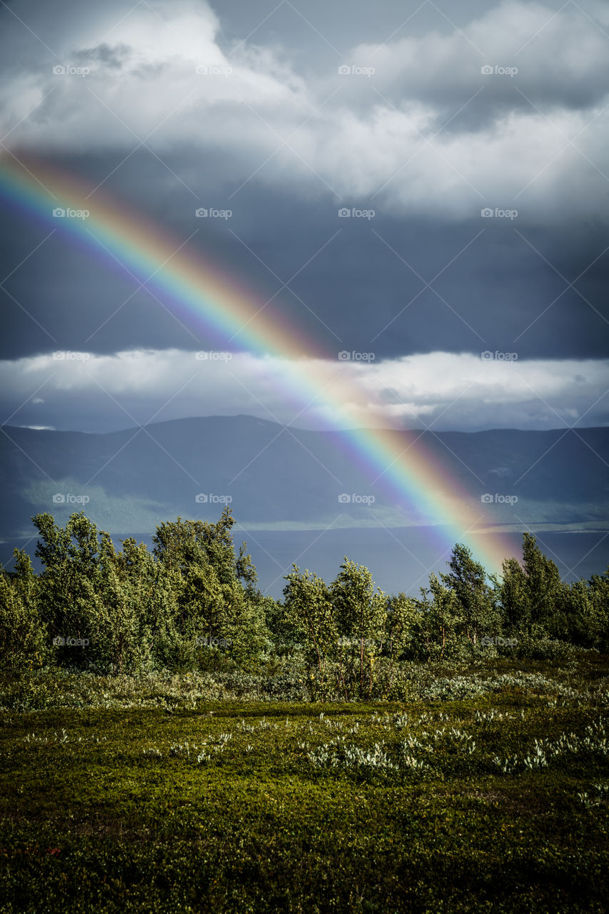 Under the Rainbow