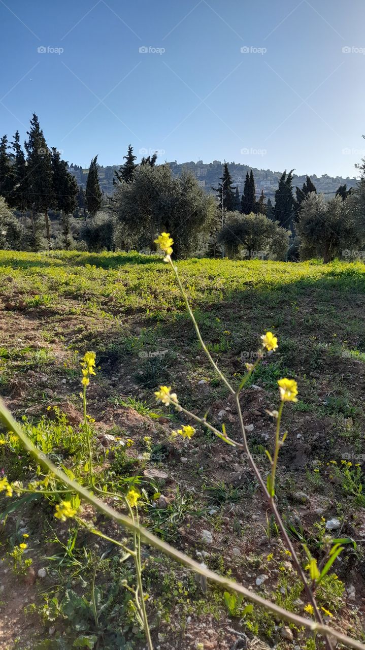 beautiful place in Jordan