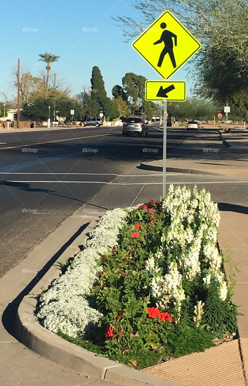 Pedestrian Crossing Sign 
