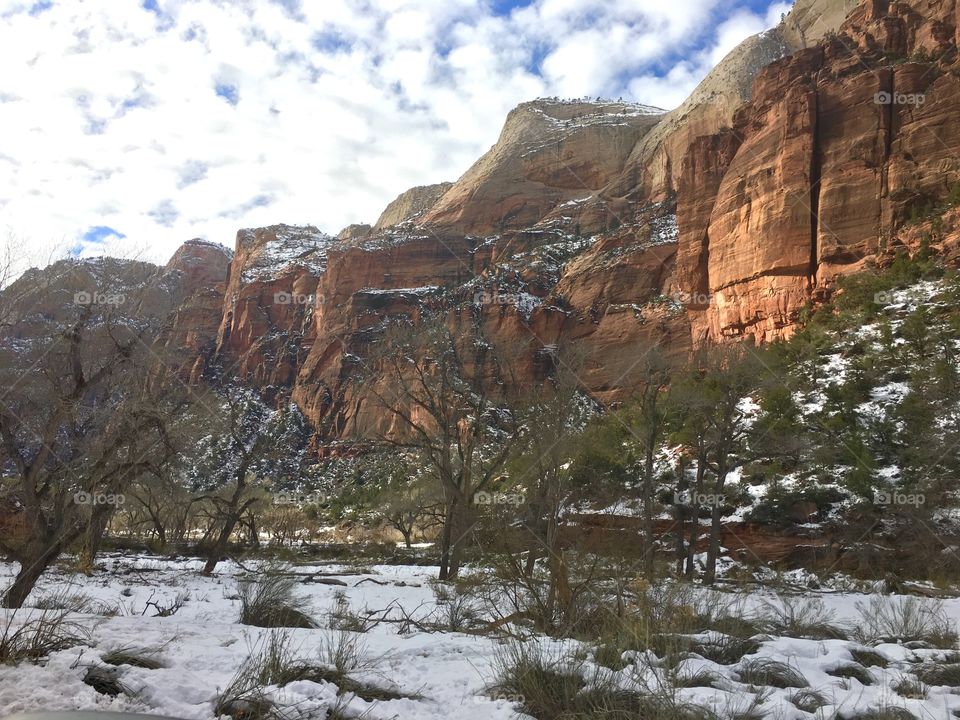 Zion national park during winter